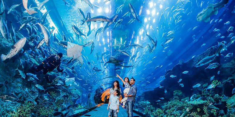 Dubai Aquarium & Underwater Zoo